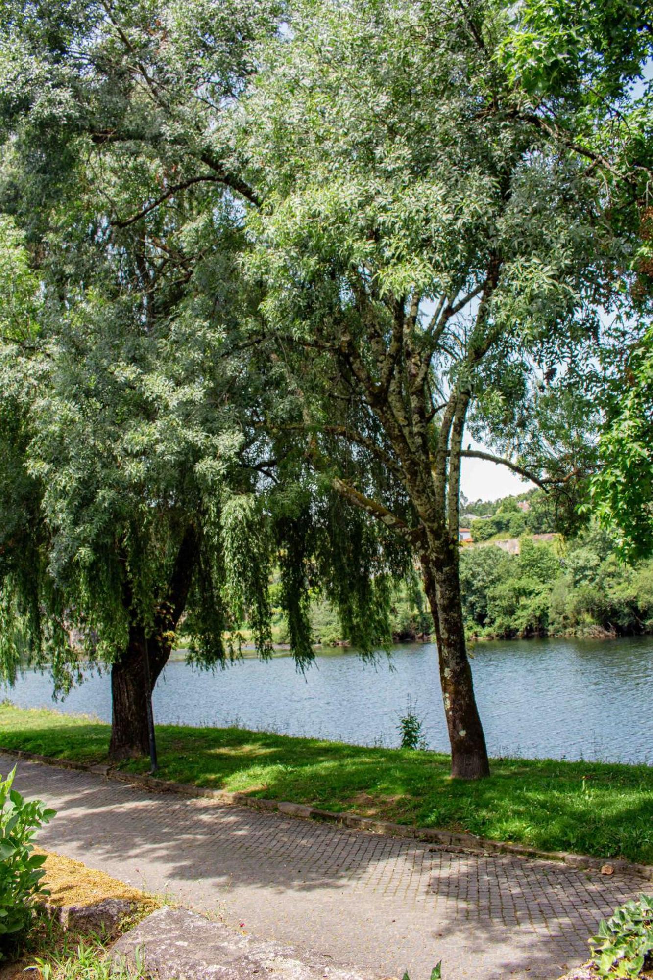 Casa Das Fontes Ponte da Barca Bagian luar foto